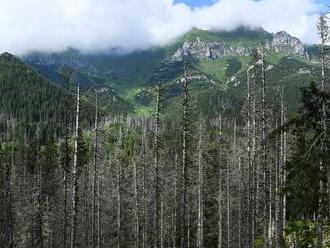 Správe TANAP-u bude šéfovať Olexa, Národný park Veľká Fatra povedie Fajth