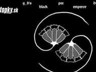 Neskutočné sa stalo skutočnosťou – Godspeed You! Black Emperor vystúpia na Slovensku!