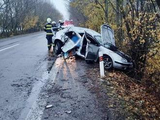 Tragické ráno pri Nitre: Pri dopravnej nehode zahynulo 18-ročné dievča! Hrozivé zábery