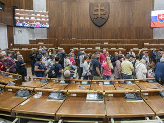 Sú slovenskí poslanci najväčší papaláši? Estónski kolegovia im môžu závidieť, nemeckým by sa ich výhody zdali smiešne