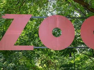 Zoo v Košiciach zasiahla kríza, aká tu ešte nebola: Kvôli šetreniu musia predávať zvieratá!