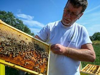 So včelami sa spriatelil pred šiestimi rokmi a sú jeho každodennou súčasťou. Spoločne pomáhajú zlepšovať ľuďom zdravie