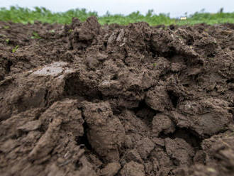 Klimatická změna zásadně proměnila a dále proměňuje zemědělské oblasti v ČR