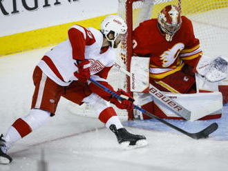 Kubalík překonal v NHL dvakrát Vladaře, asistenci si připsal Zadina a Nečas