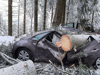 Hasiči v Pardubickém kraji zasahovali u desítek událostí, na silnici 11 spadl strom na projíždějící auto