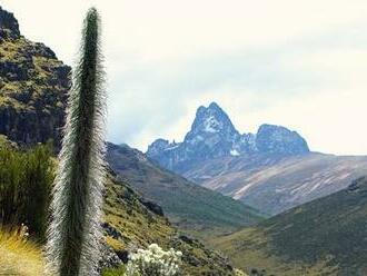 To najťažšie na záver. Národný park Mt. Kenya  . Mt. Kenya verzus Kilimandžáro.