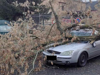 Hasičské jednotky v Ústeckém kraji vyjely v odpoledních a večerních hodinách k 74 zásahům na spadlé…