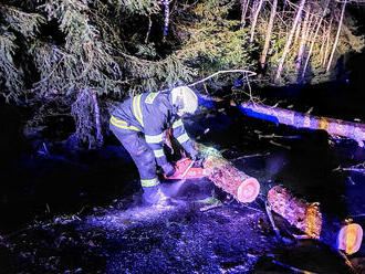 V Jihočeském kraji řešili hasiči více než 50 zásahů kvůli větru, odklízeli stromy i plechy