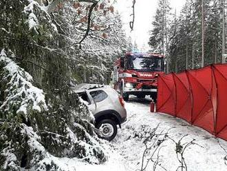 Starší řidič na Plzeňsku s autem narazil do stromu. Náraz nepřežil