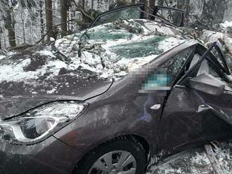 FOTO: Ženy přežily jen zázrakem. Padající strom zcela zdemoloval jejich auto