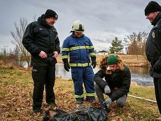 Místo zločinu České Budějovice pokračuje: Policie najde u Vltavy kusy těla