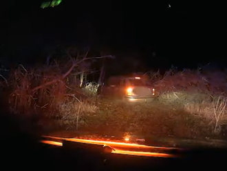 VIDEO: Bez řidičáku, bahnem, kalužemi, s policií v patách. Jízdu ukončil strom