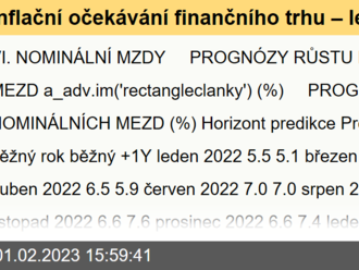 Inflační očekávání finančního trhu – leden