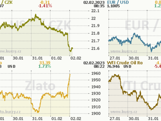 Silné euro uvidí ECB velmi ráda