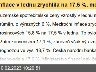 Inflace v lednu zrychlila na 17,5 %, méně než jsme čekali  