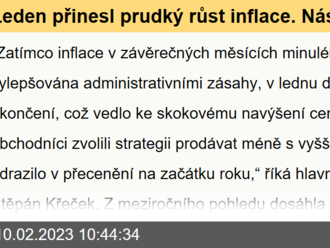 Leden přinesl prudký růst inflace. Následující měsíce by již měly být lepší