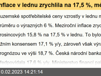 Inflace v lednu zrychlila na 17,5 %, méně než jsme čekali  