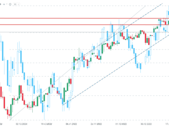 Členka Fedu Bowmanová zůstává jestřábí, ale EURUSD se pokouší odrazit ode dna