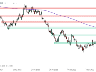 NZDCAD   - Graf dne