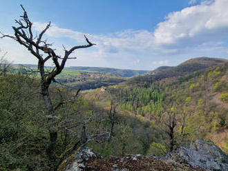 Národní park Křivoklátsko bude přínosem pro přírodu i obce v regionu. Náměstek Hladík zahájil širokou komunikaci s regionem