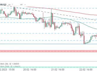 EURUSD se po zveřejnění spotřebitelského sentimentu v USA odráží od denních minim