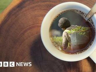 Africa Eye, 'Sex for work: The true cost of our tea’