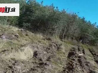 Lietajúci dron na VIDEU zachytil poriadne strašidelný úkaz: Pozrite, kto sa pohyboval v lese