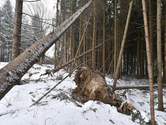 Do Česka se v úterý pozdě odpoledne vrátí silný vítr