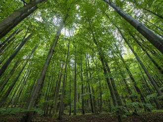 Europoslanci dle očekávání odhlasují trojici norem klimatického balíku