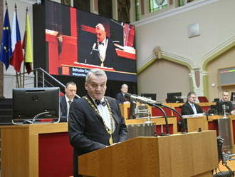 Pražští strážníci podle primátora neměli oprávnění zveřejnit video se Železným