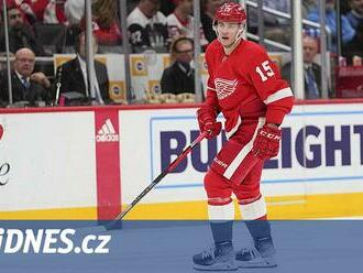 Vrána mění podruhé v NHL angažmá. Opouští Detroit, míří do St. Louis