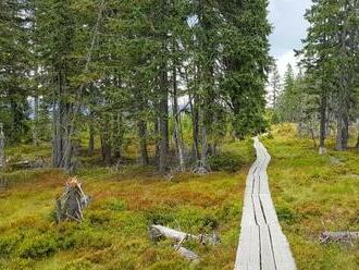 Krkonoše blízko ski areálov a atrakcií: Retro Vila Arnau s raňajkami/polpenziou + víno a zľava na wellness