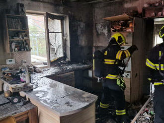 Při požáru kuchyně v obci Dolní Studénky na Šumpersku zahynulo šest psů, majiteli hasiči…