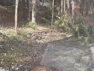 Jednotka ze stanice Klášterec nad Ohří odstranila strom, který spadl na silnici a přetrhl telefonní…