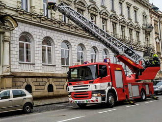 V Jindřichově Hradci hasiči zachránili zraněného holuba zaseknutého v okně, předali ho strážníkům.