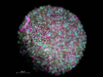 Po křemíkové umělé inteligenci přichází čas biologické, vyhlásili vědci