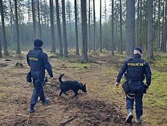 Zelená horečka se šíří jižními Čechami. Policisté bojují s kopáči vltavínů