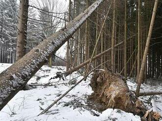 Do Česka se v úterý vrátí silný vítr. Meteorologové prodloužili výstrahu