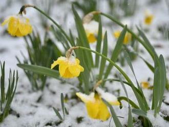 Slnečné jarné POČASIE vystrieda teplotný ŠOK: Ochladiť sa môže o vyše 10 °C