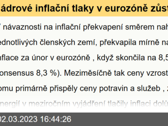 Jádrové inflační tlaky v eurozóně zůstávají silné  