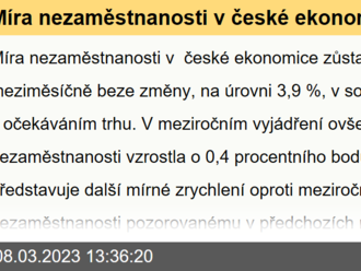 Míra nezaměstnanosti v české ekonomice zůstala v únoru meziměsíčně beze změny