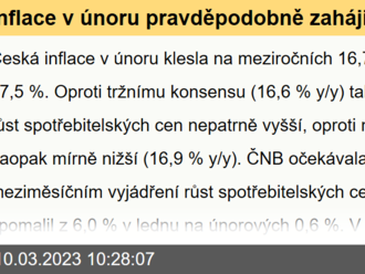 Inflace v únoru pravděpodobně zahájila trend postupného poklesu  