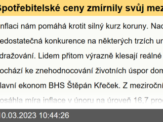 Spotřebitelské ceny zmírnily svůj meziroční růst