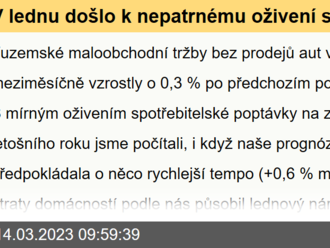 V lednu došlo k nepatrnému oživení spotřebitelské poptávky  