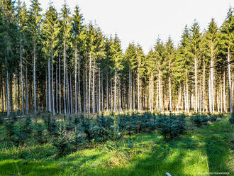 Poslanci EP zpřísnili klimatickou strategii do roku 2030 a přijali nový cíl o propadu uhlíku