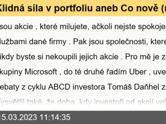 Klidná síla v portfoliu aneb Co nově  čekat od FAANG a spol.