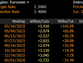 Vzrostou sazby o 50 bps? - ECB preview