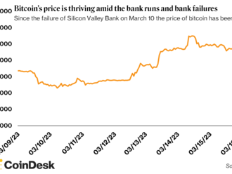 Bitcoin blízko 9měsíčního maxima. Kryptoměny rozšiřují býčí dynamiku