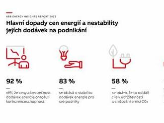 Výzkum ukázal, že problémy s energiemi ovlivňují konkurenceschopnost podniků, pracovní sílu a dekarbonizaci