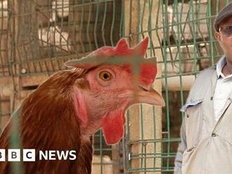 The Kenyan farmer powering a car and shower from chicken poo